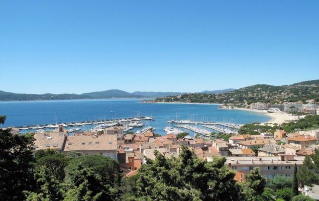 Maxime Park - Photo 6