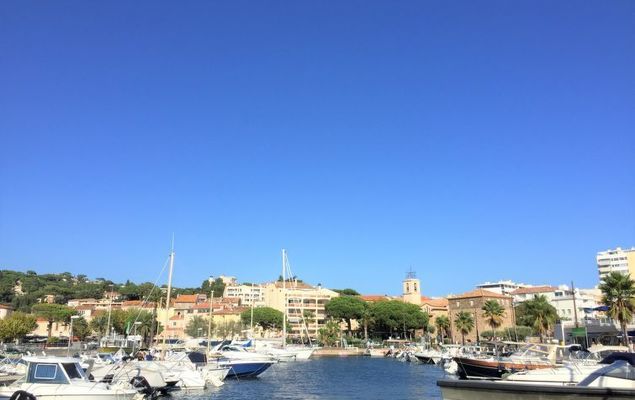 Maxime Park - Photo 8