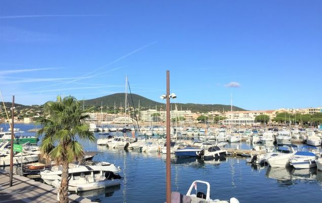 Maxime Park - Photo 10