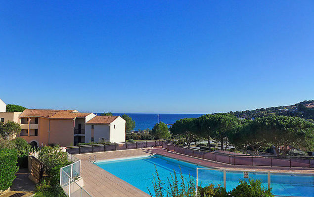 Le Petit Olivier - Photo 5