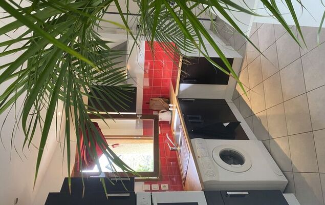 Les Coquelicots - Photo 4