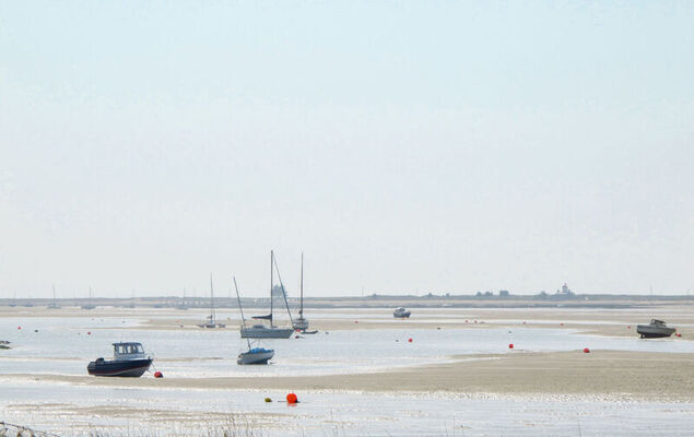 Les Coquelicots - Photo 18