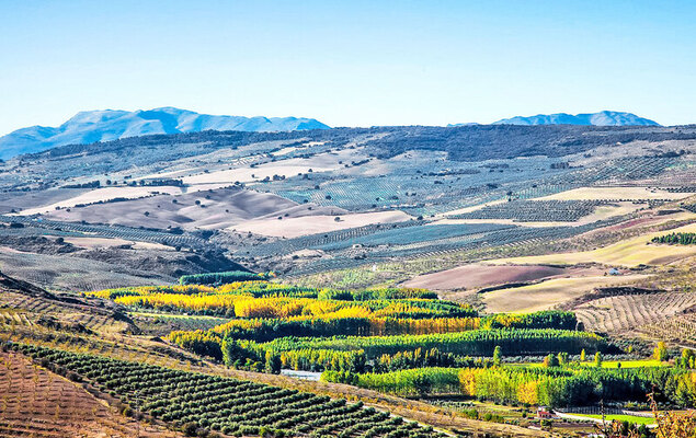 Rural Cacin - Photo 28