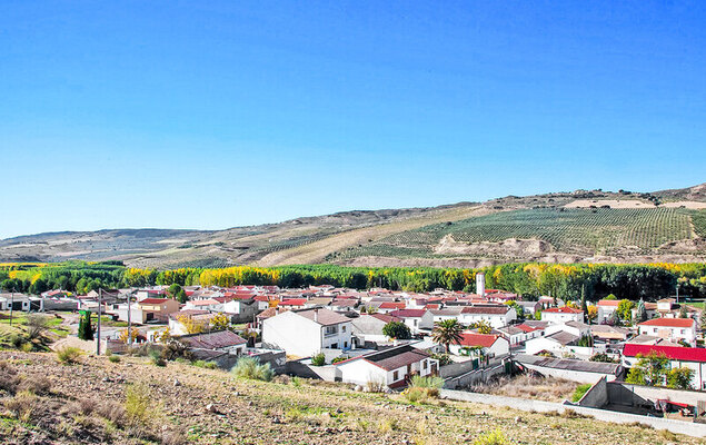 Rural Cacin - Photo 29