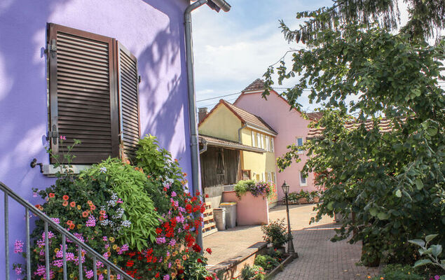 Résidence jaune et rose - Photo 18