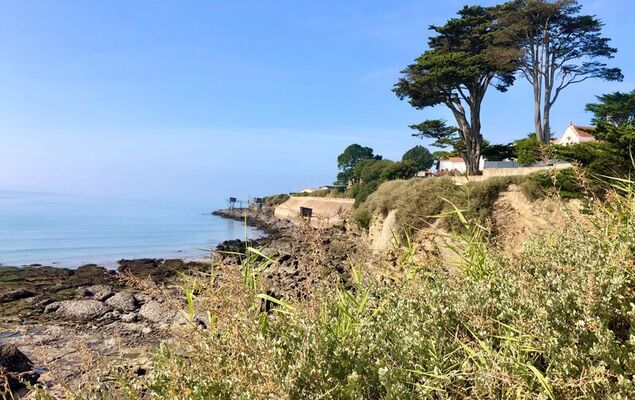 Les Roches - Photo 24