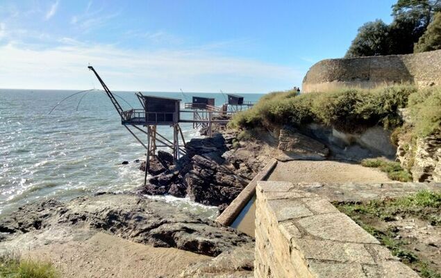 Les Roches - Photo 26